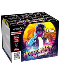 Sky Painter House Party